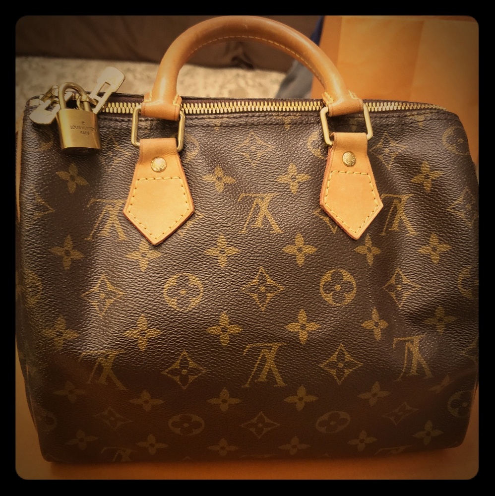 Louis vuitton purse